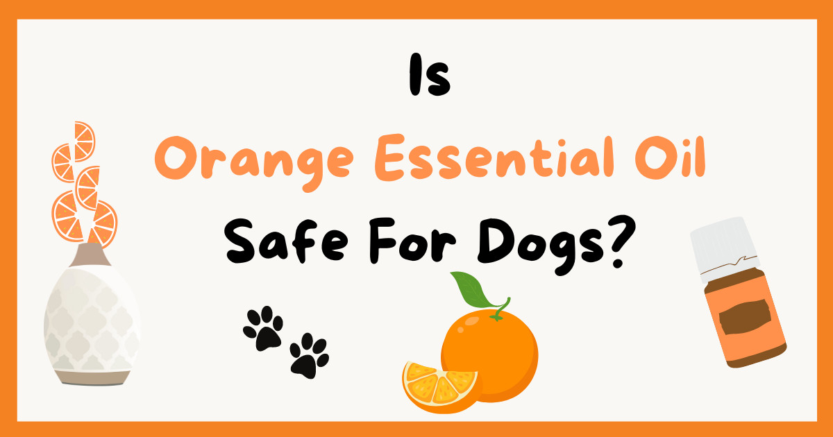 Is Orange Oil Safe For Dogs?