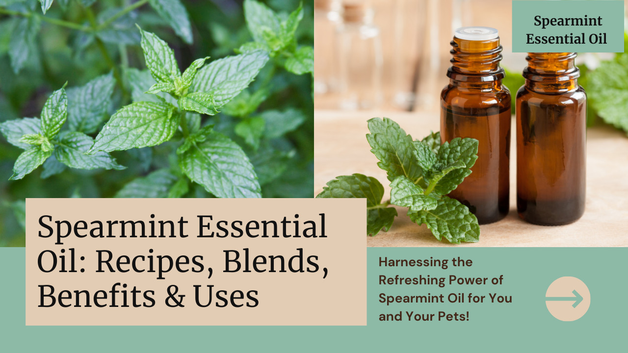 Spearmint Essential Oil: Recipes, Blends, Benefits & Uses