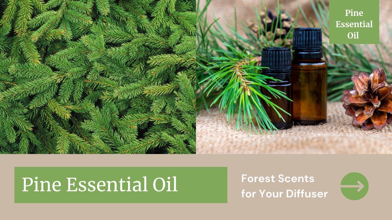 Pine Essential Oil Blends: Forest Scents for Your Diffuser