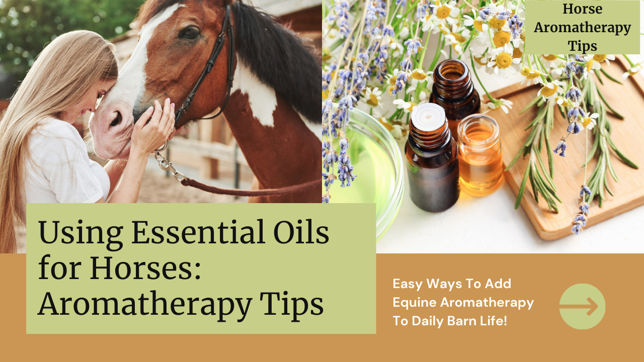 Using Essential Oils for Horses: Aromatherapy Tips