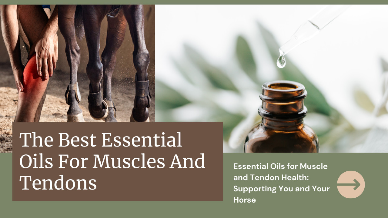 The Best Essential Oils For Muscles And Tendons