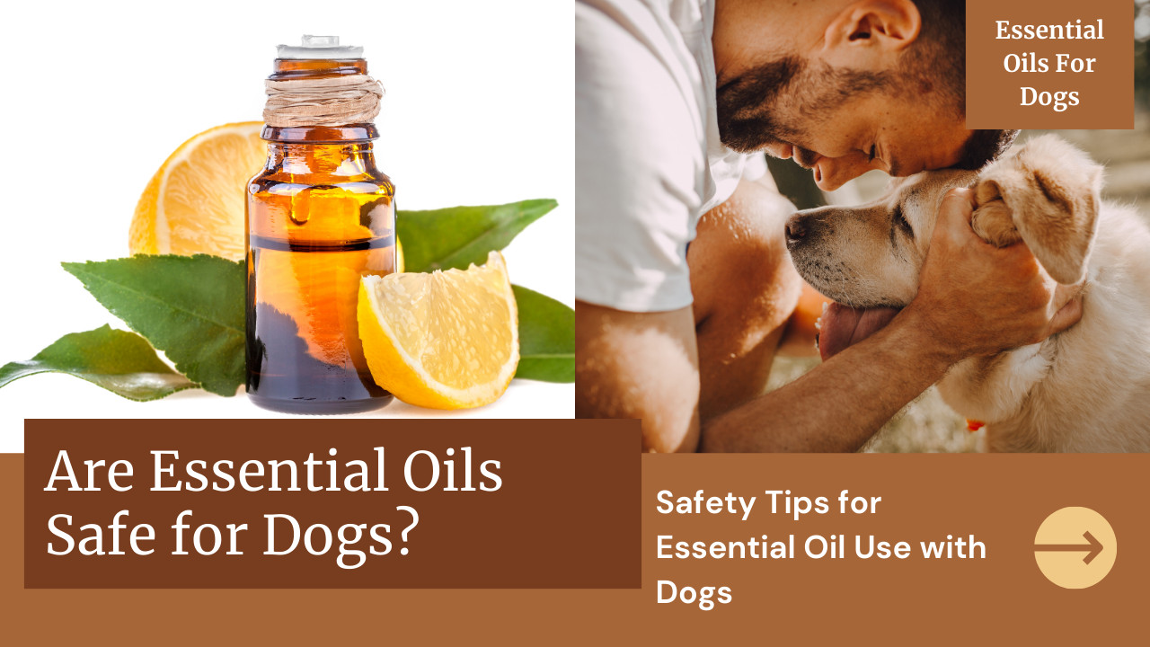 Are Essential Oils Safe for Dogs?