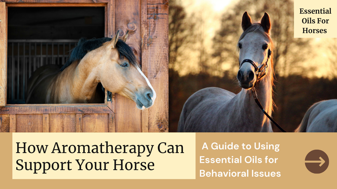 How Aromatherapy Can Support Your Horse: A Guide to Using Essential Oils for Behavioral Issues