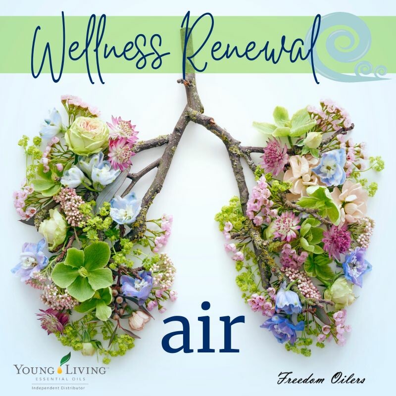 Wellness Renewal: AIR