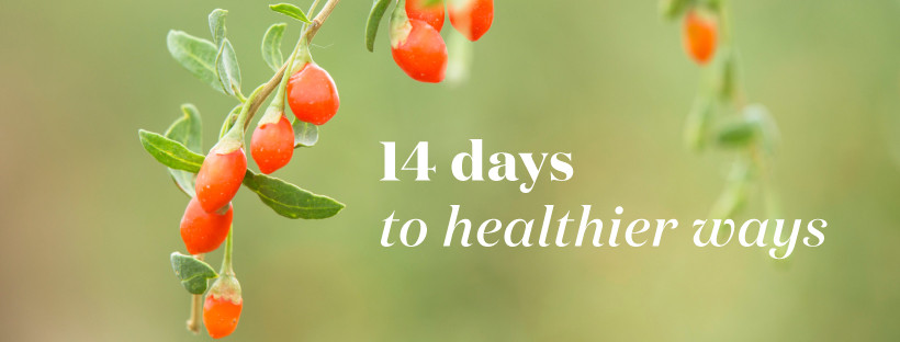 14-Day NingXia Red Reset