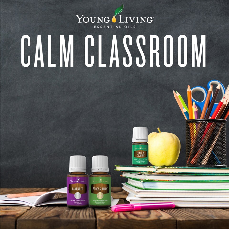 Calling all Teachers - How To Bring Calmness to Your Classroom