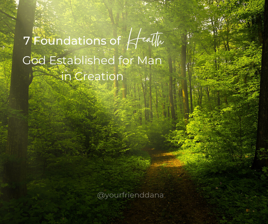 The 7 Foundations of Health God Established in Creation