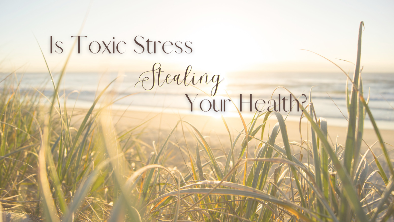 Is Toxic Stress Stealing Your Health?