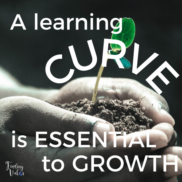 A learning curve is essential to GROWTH!