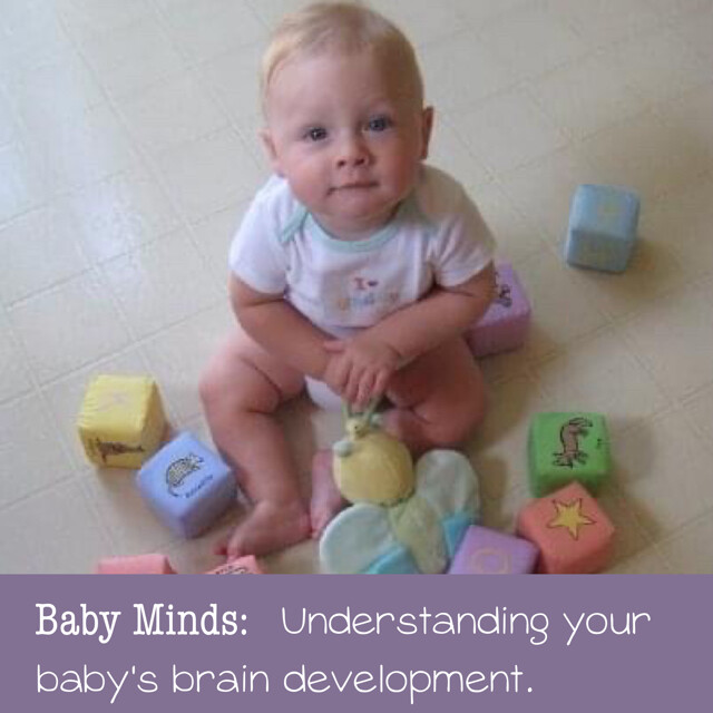 Baby Minds - Understanding your baby's brain development.