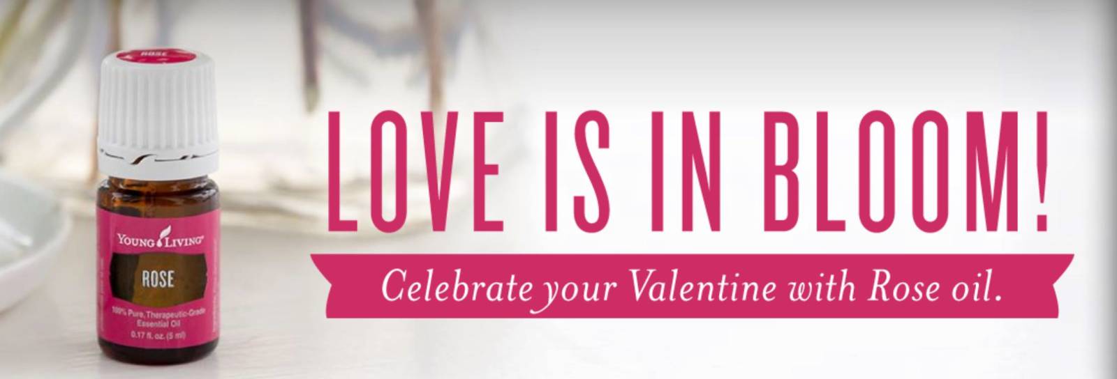 February - Valentine's, New Promotions and New Slique PSK
