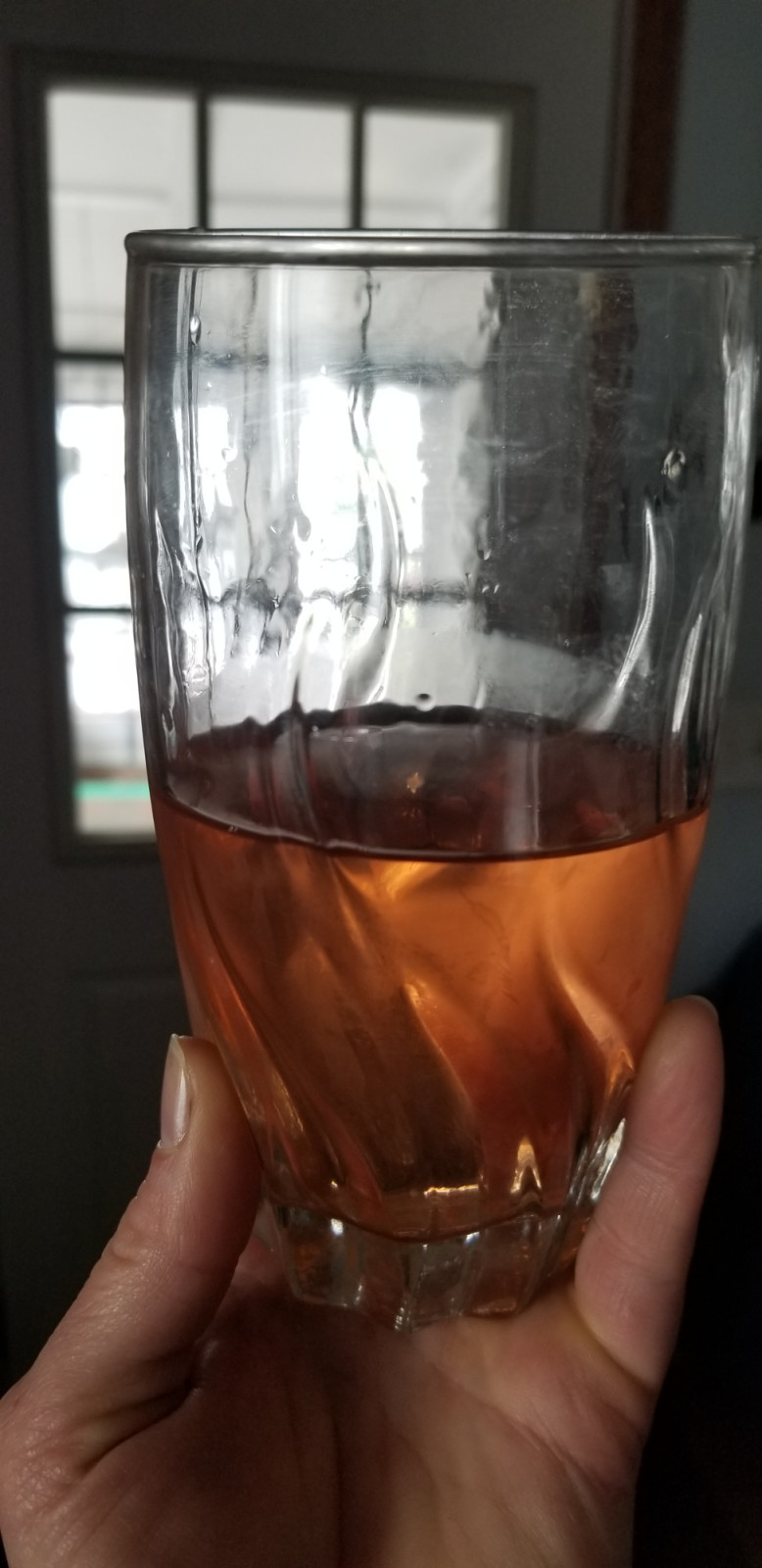 Rhubarbade- An amazing beverage you should make this summer