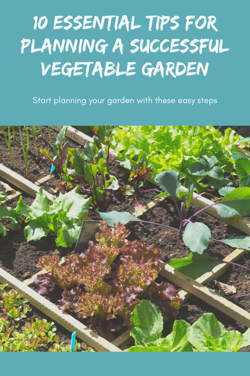 10 Essential Tips for Planning a Successful Vegetable Garden