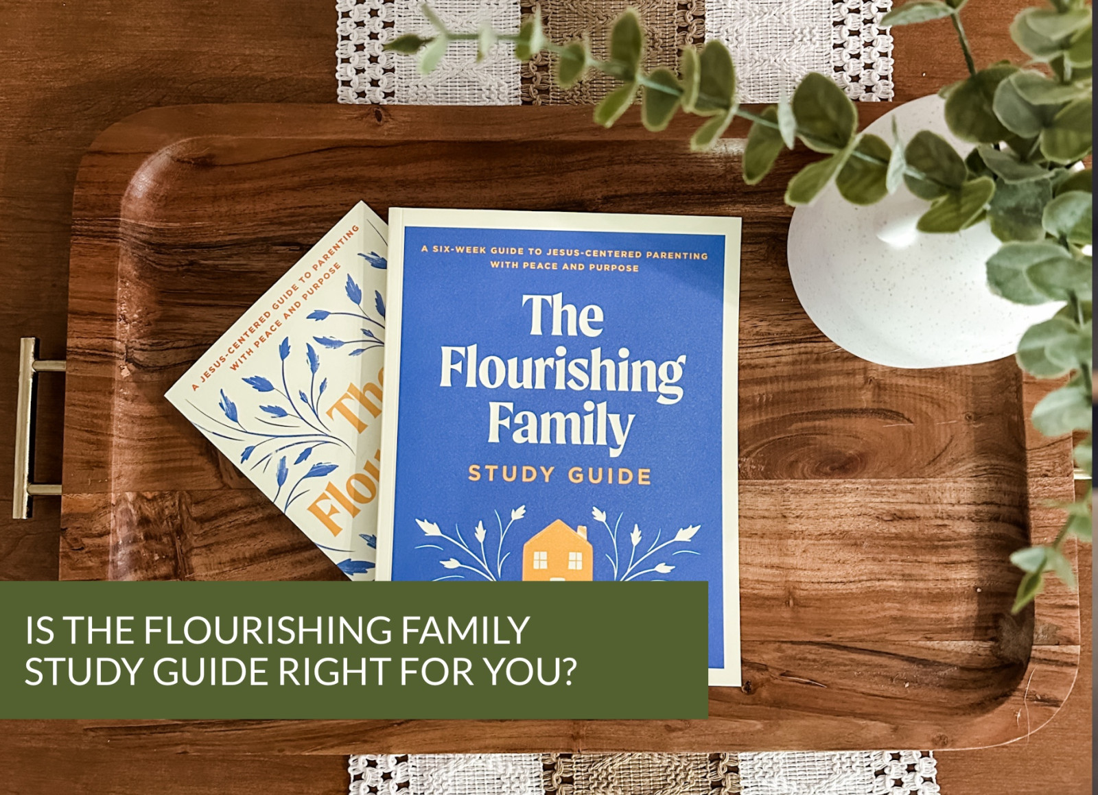 Is the Flourishing Family Study Guide Right for You?