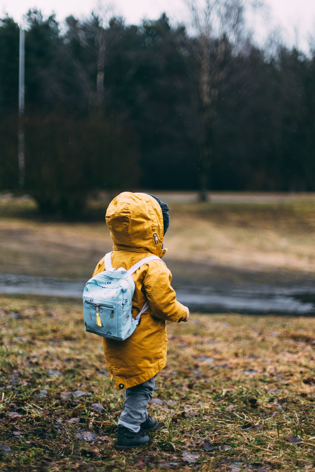 Stomach bug going around your place too? The Mom Nurse Kara Johnson