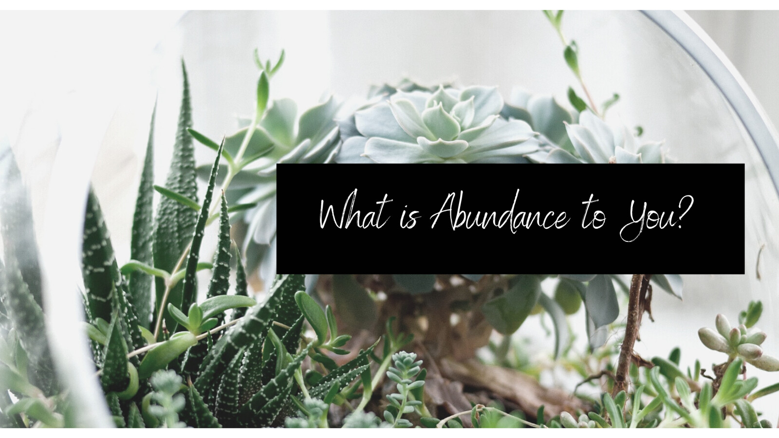 What is Abundance to You?