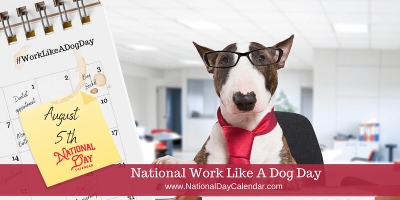 August 5th is National Work Like a Dog Day!  Use essential oils to revive your "dog tired" feet.