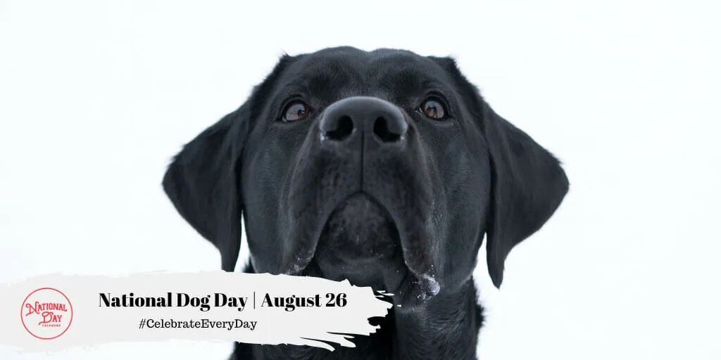 No Smelly Dogs on National Dog Day!