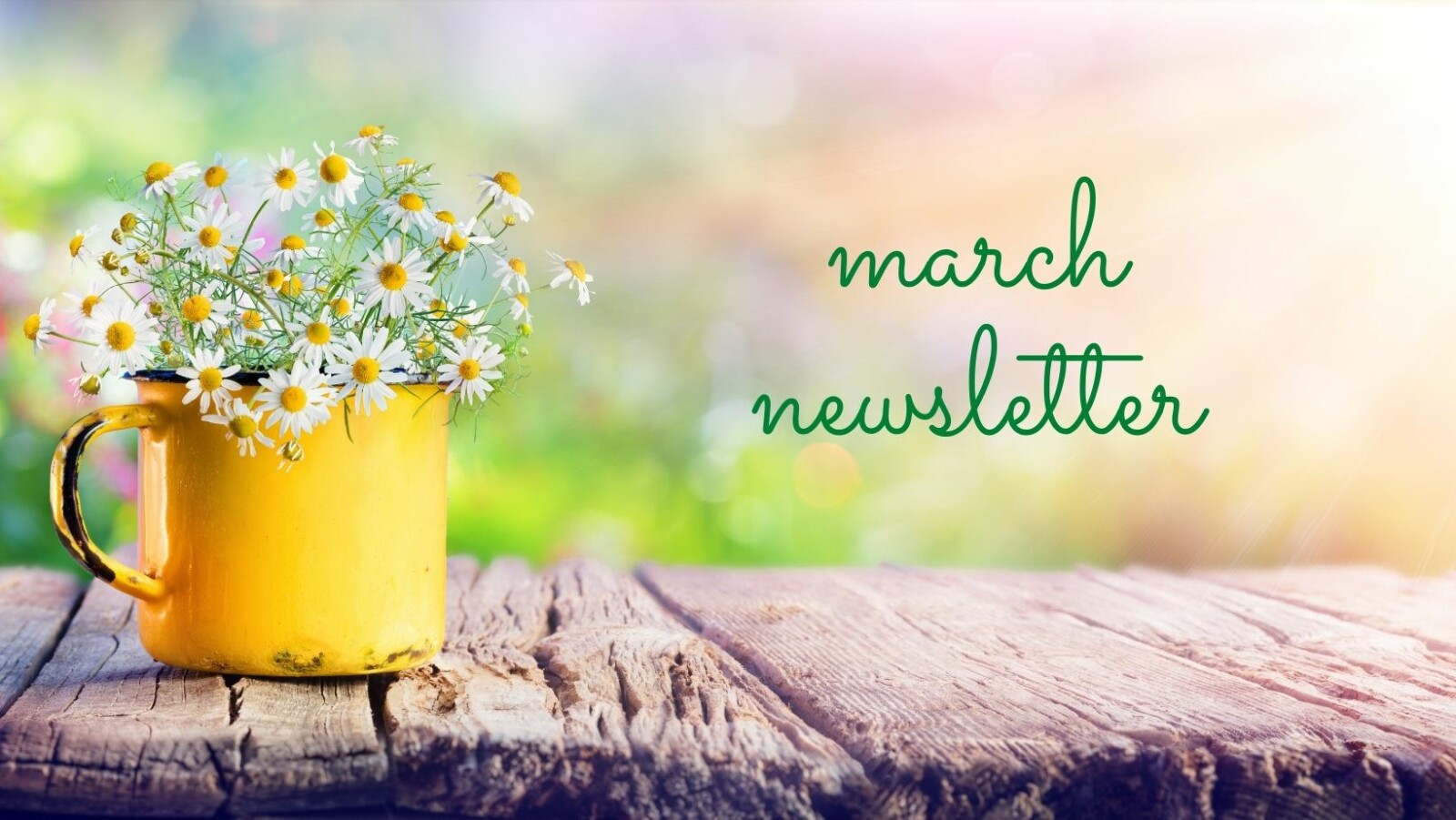 Sharing the Love March Newsletter + Exfoliating Sugar Scrub recipes