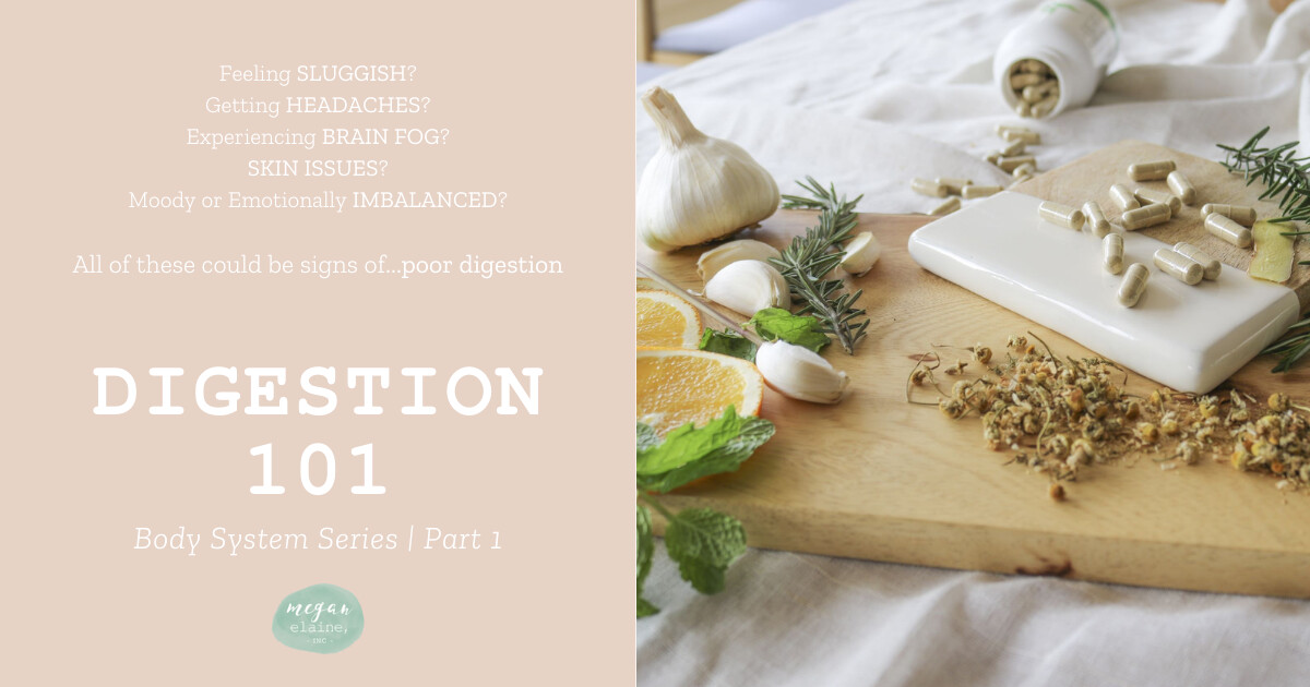 Digestion 101 (Part 1: Body Systems Series)