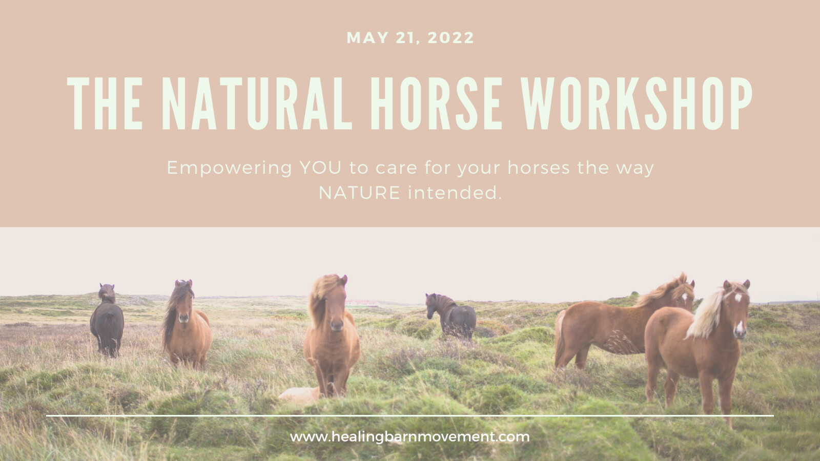 The Natural Horse Workshop was a success!
