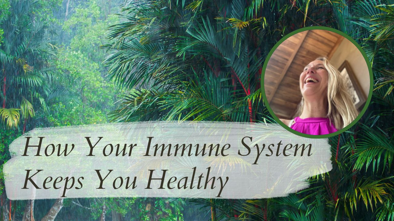 How Your Immune System Keeps You Healthy