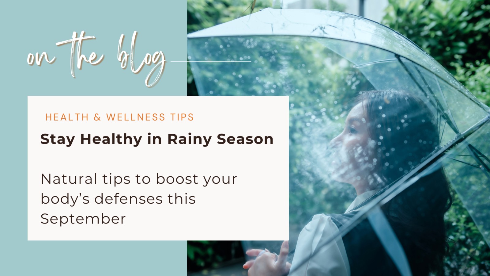 Fall into Wellness: Easy Steps to Boost Your Immunity This September