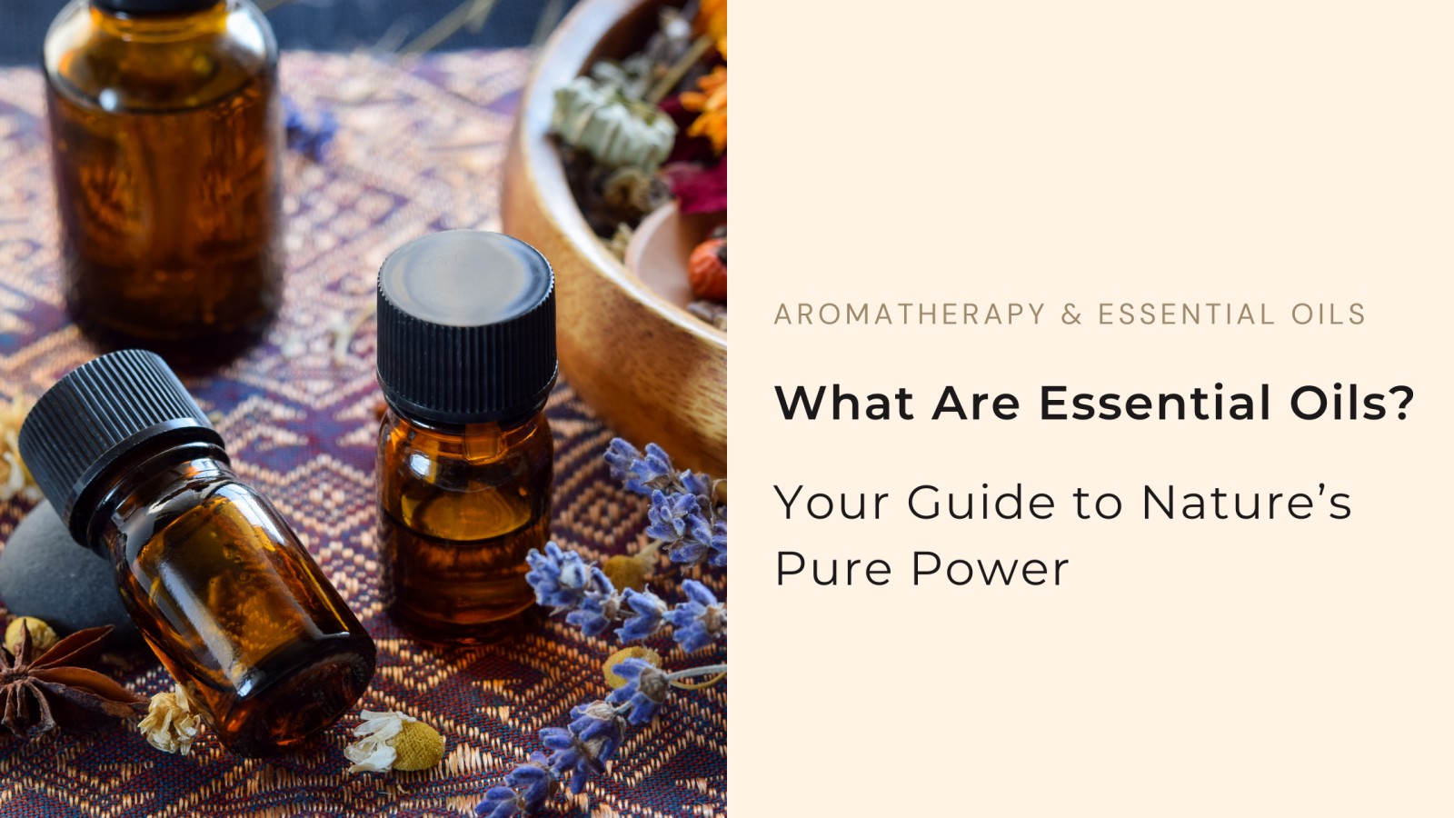 What Are Essential Oils? Your Guide to Nature’s Pure Power