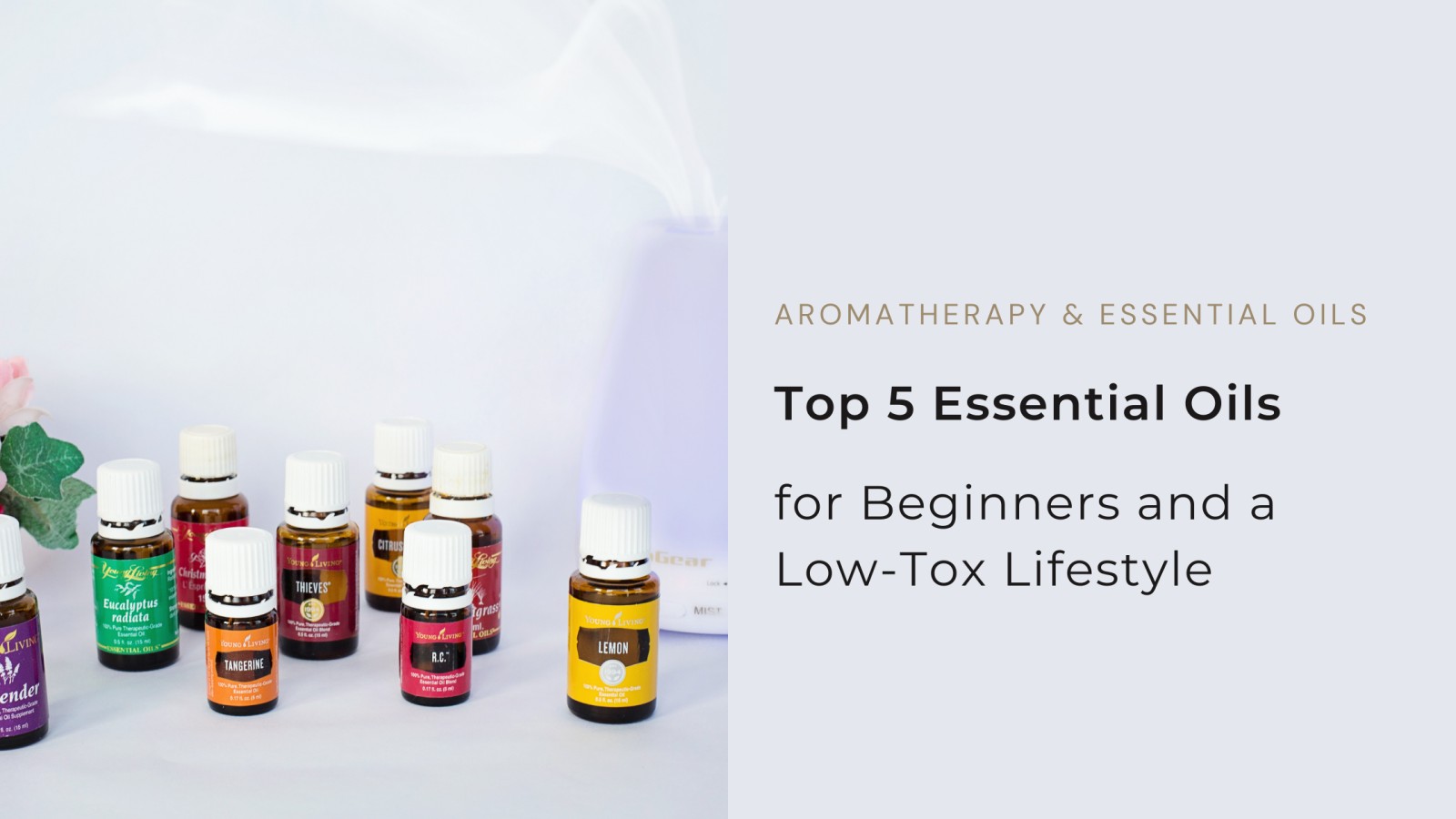 Top 5 Essential Oils Every Beginner Should Have for a Low-Tox Lifestyle