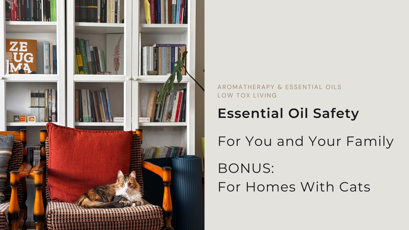 How to Safely Use Essential Oils Around Your Family (With Bonus Tips for Homes With Cats)