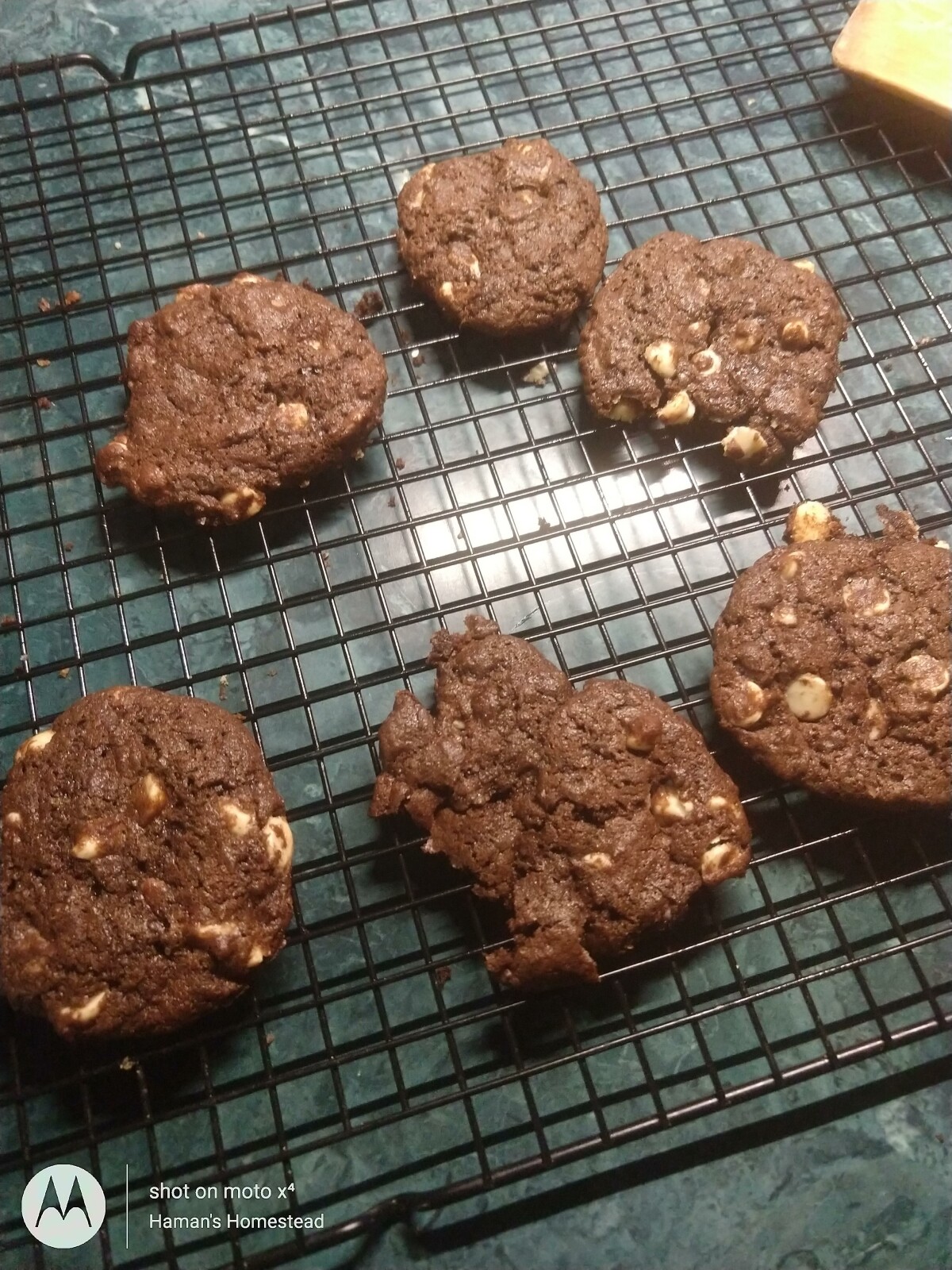 Chocolate Chip Cookies with a side of Kale