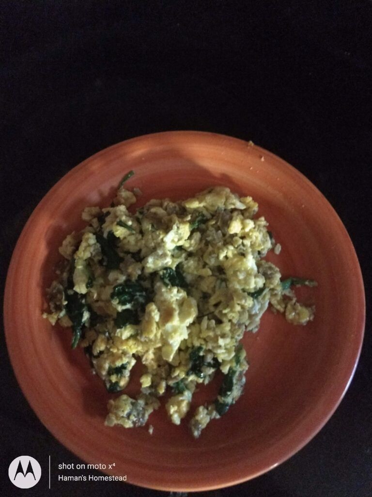 Eggs & Veggies 