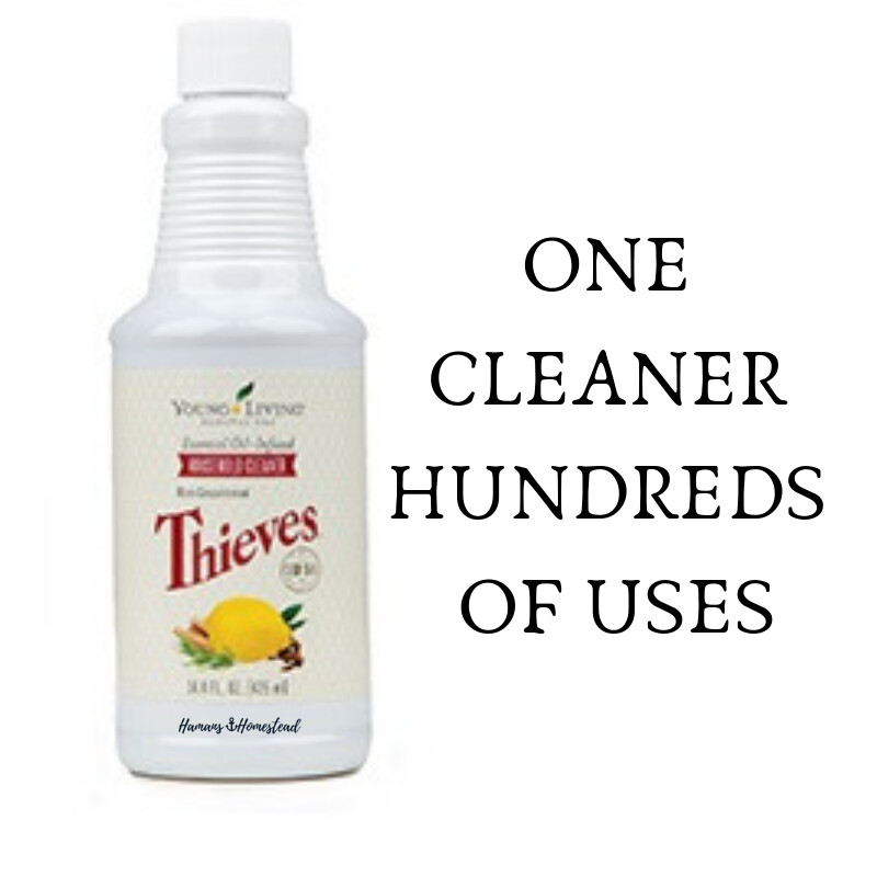 One Cleaner,  So Many Uses