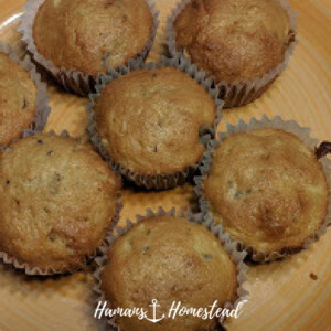 Apple Cinnamon Muffins