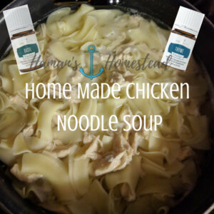 Chicken Noodle Soup