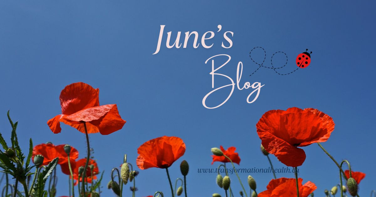 June's Journey: Embracing Wellness and Vitality This Summer 🌹