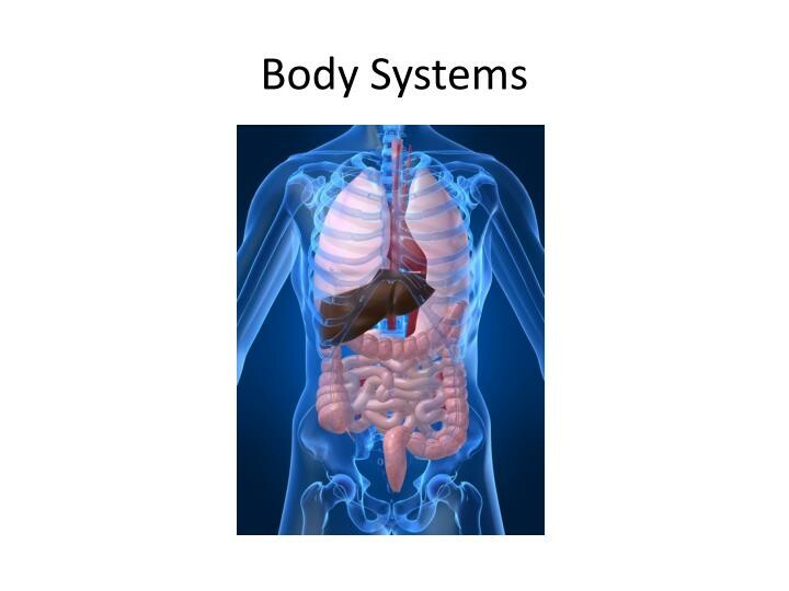 Reminder, It's 7 PM EST Tonight... Body Systems Basics: Simplifying the Miracle #WellnessWednesday