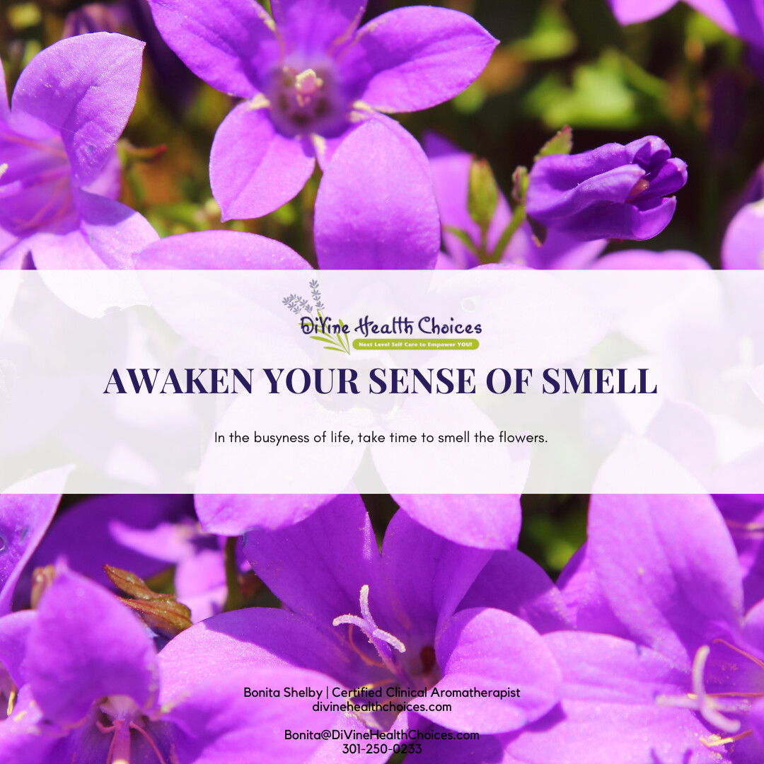 Awaken Your Sense of Smell  #WellnessWednesday