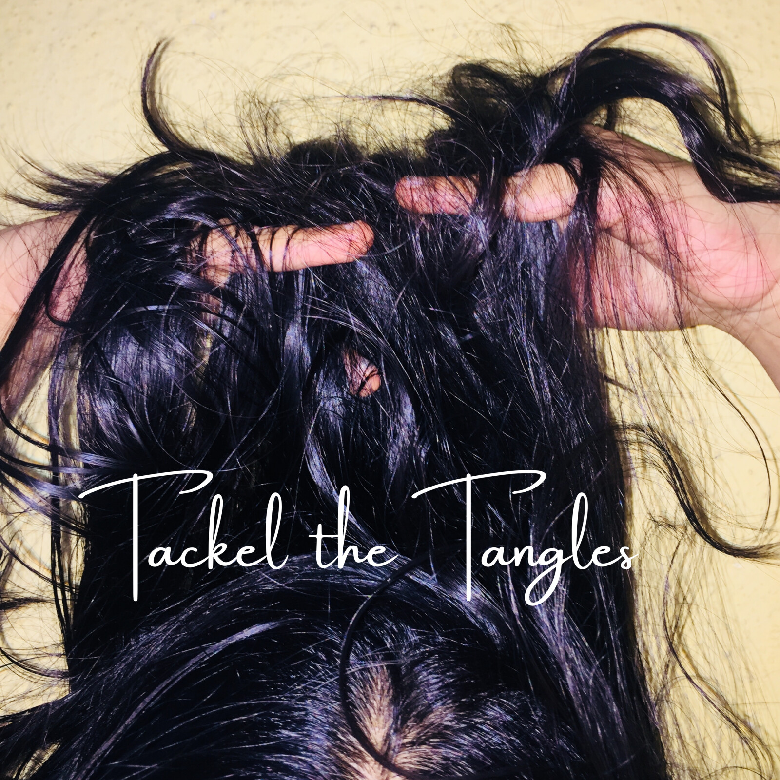 Tackle the Tangles 