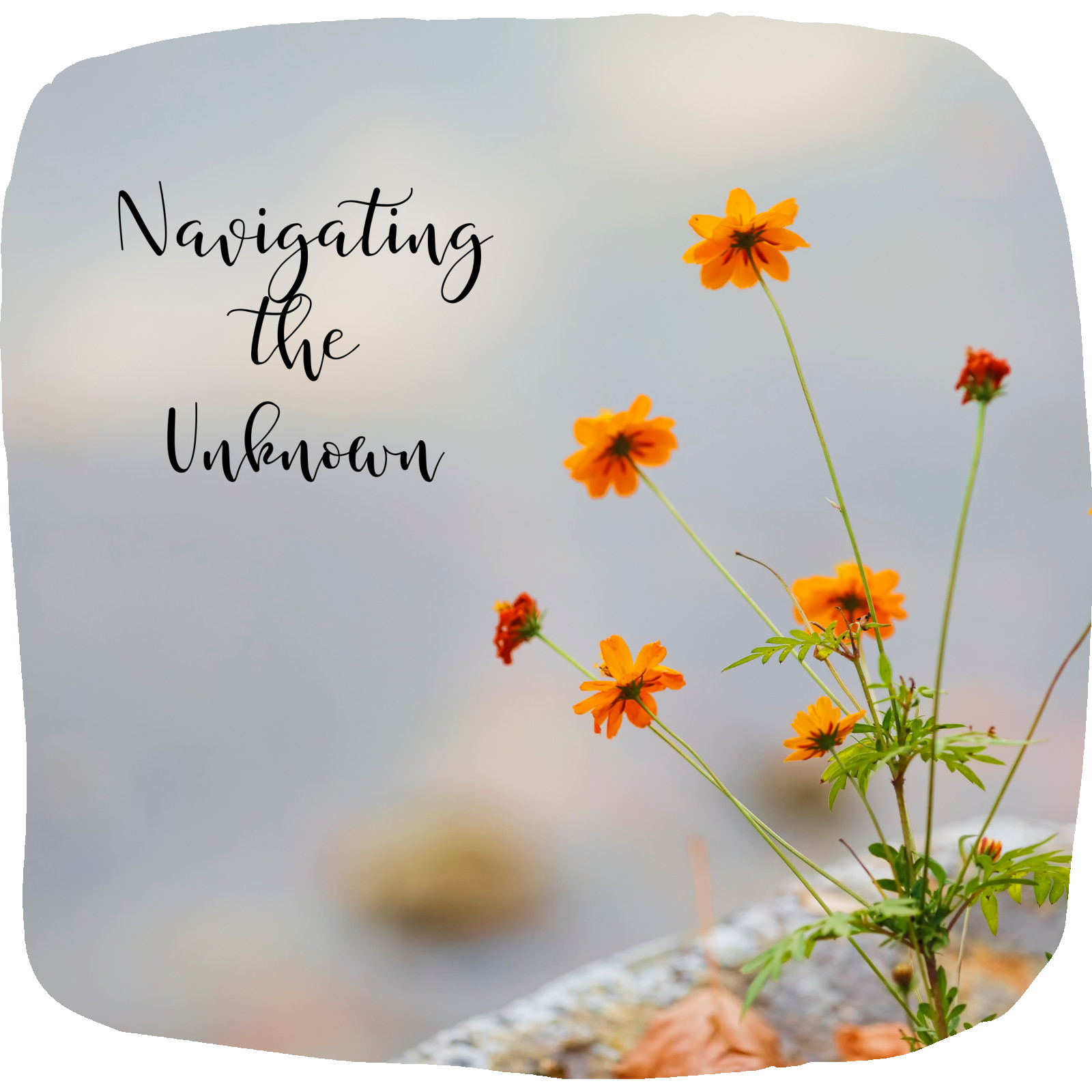 Navigating the Unknown: My Journey with Systemic Inflammatory Response Syndrome