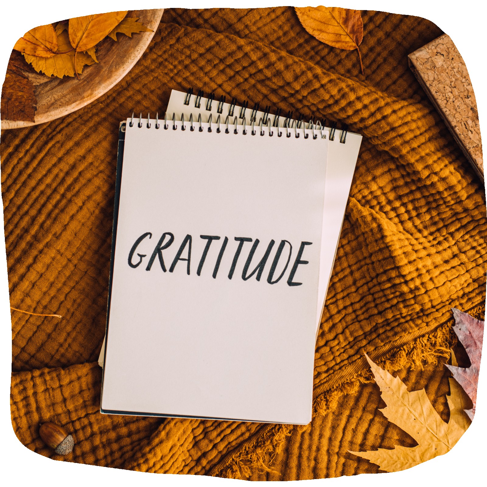 Counting My Blessings: A Year of Faith, Healing, and Finding Peace