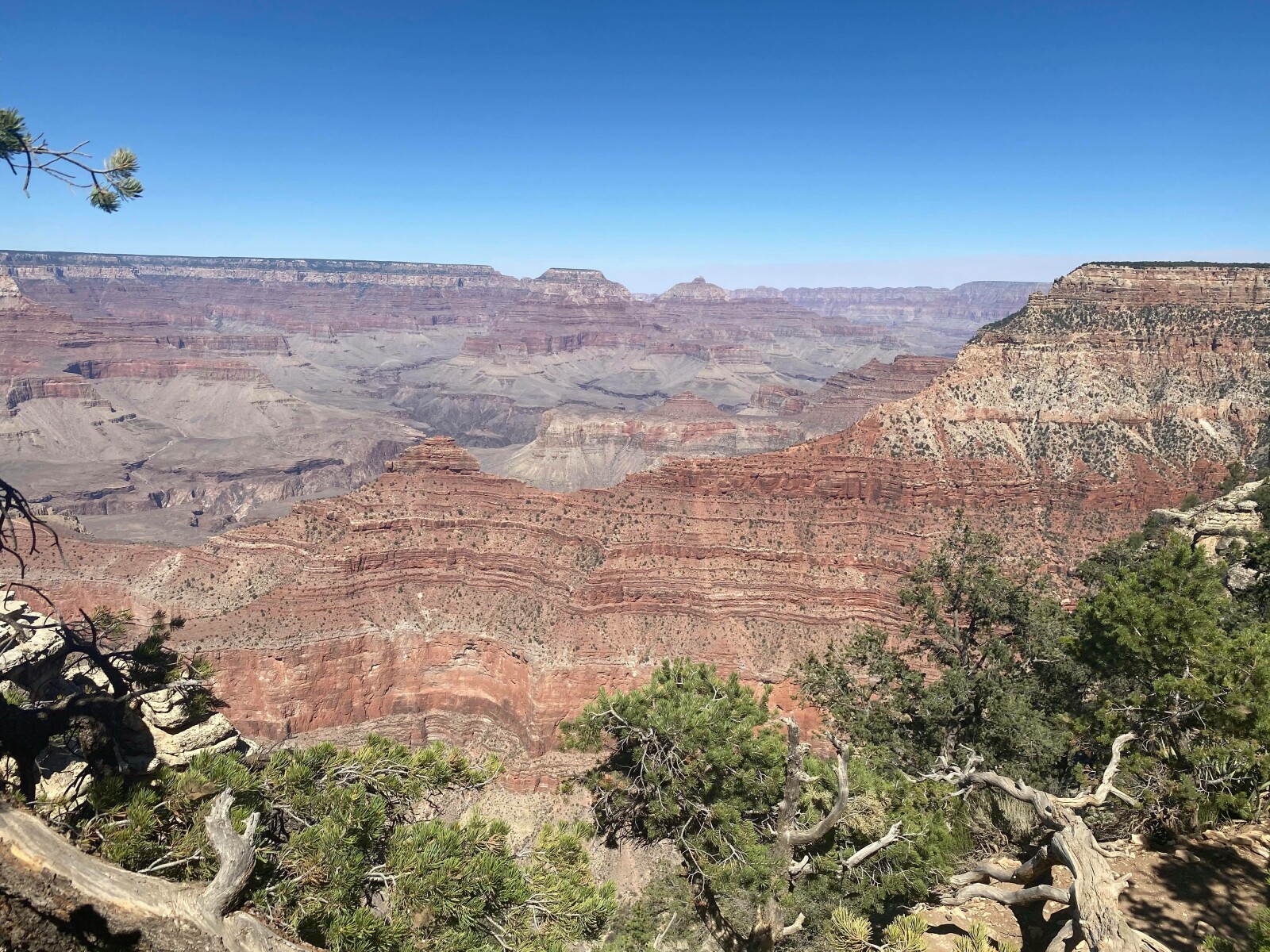 The Grand Canyon