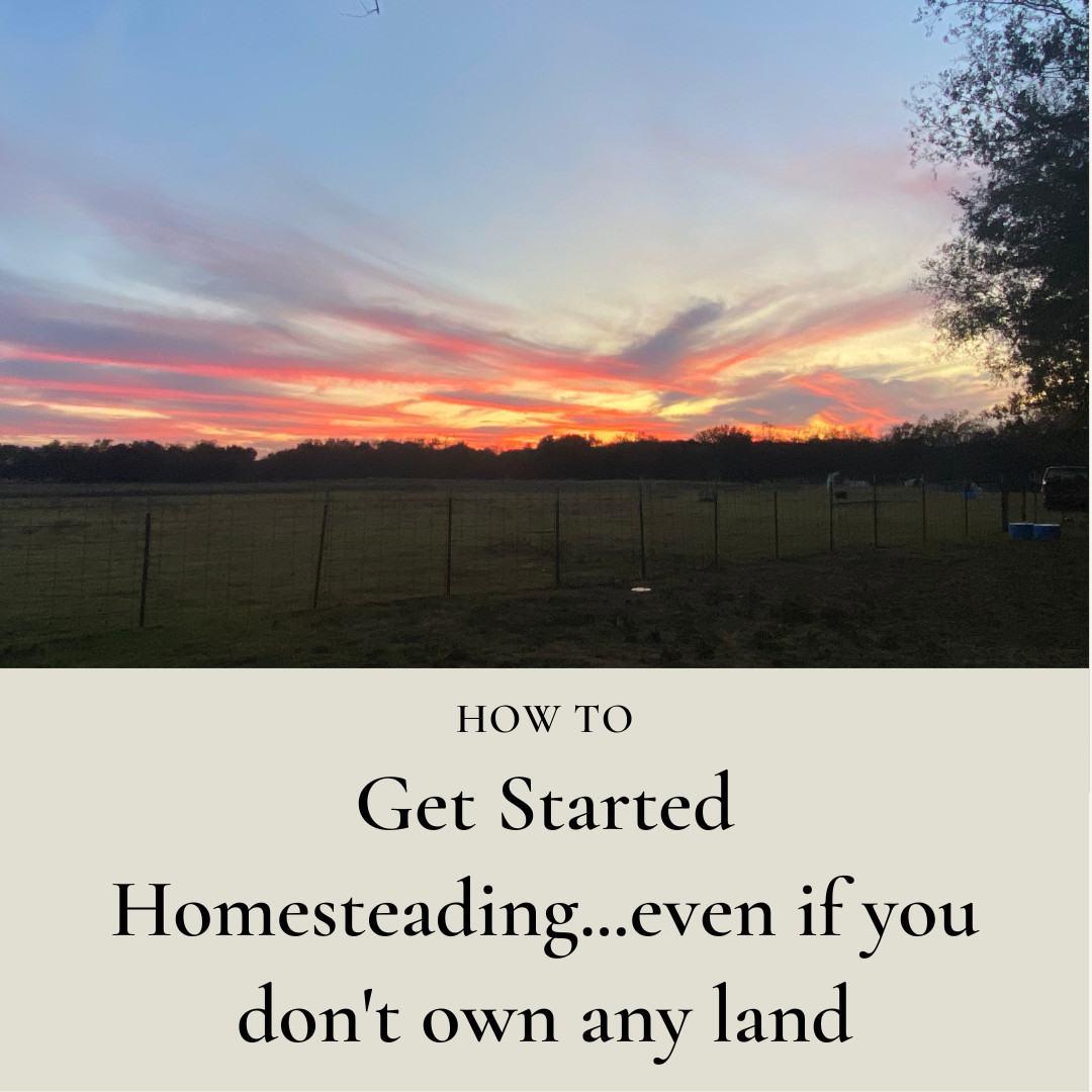 How To Get Started Homesteading...even if you don't own any land