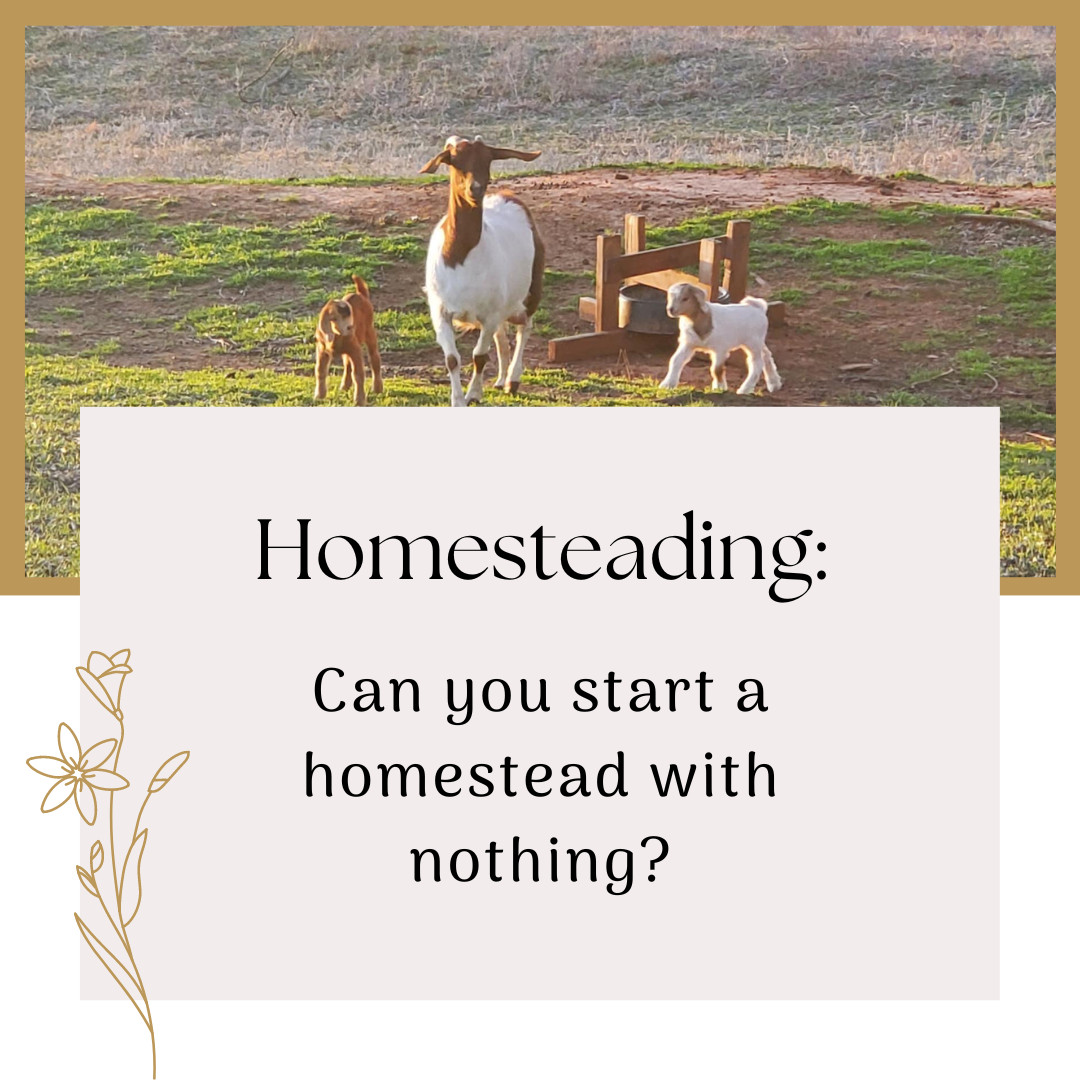 Can you start a homestead with nothing?