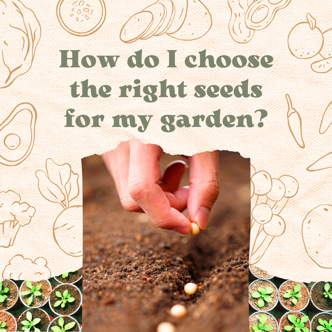 How do I choose the right seeds for my garden?