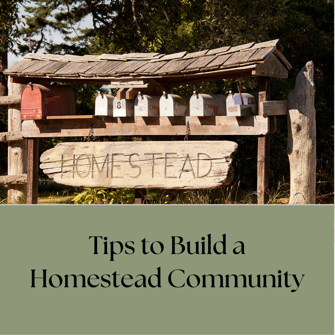 Tips to Build a Homestead Community