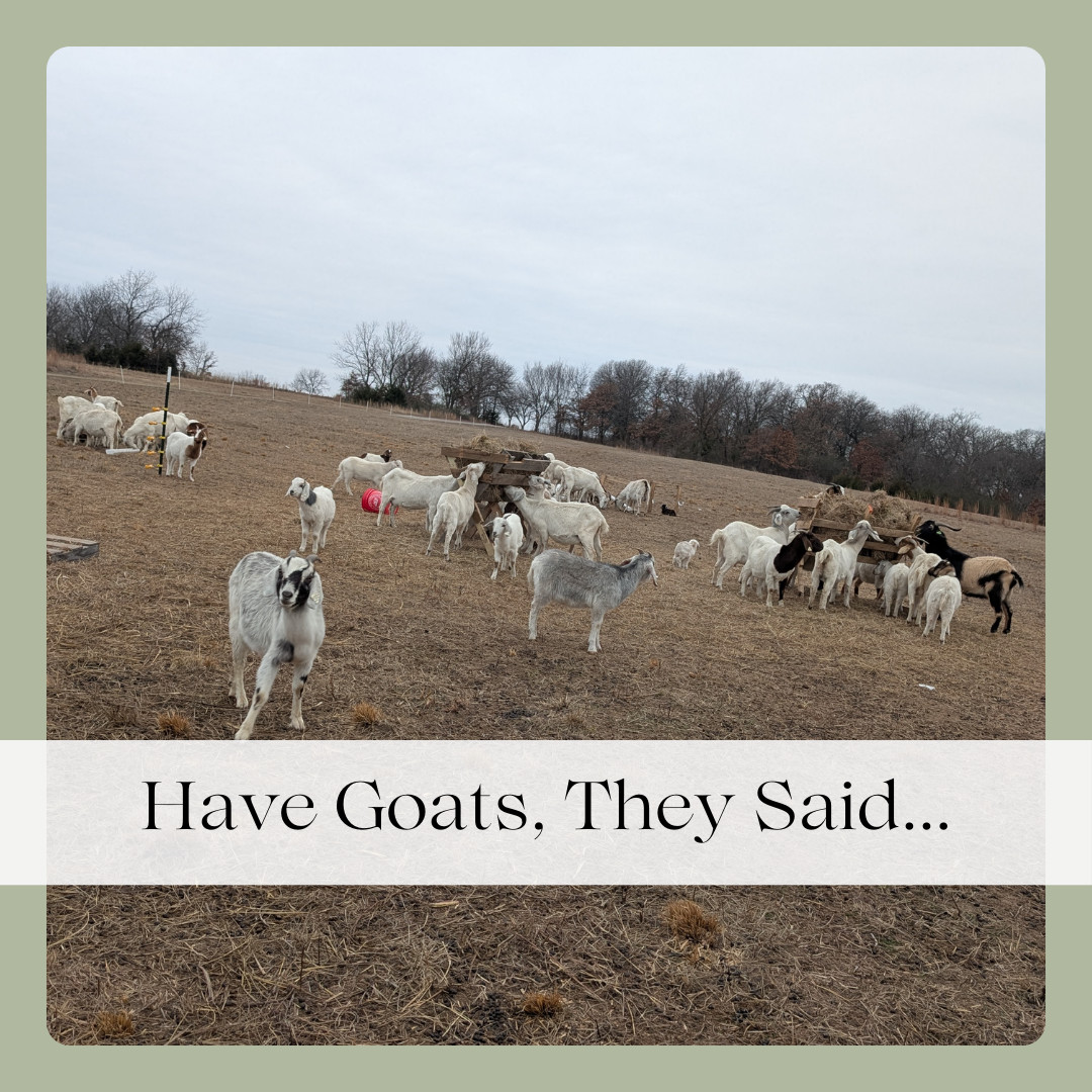 Have Goats, They Said...