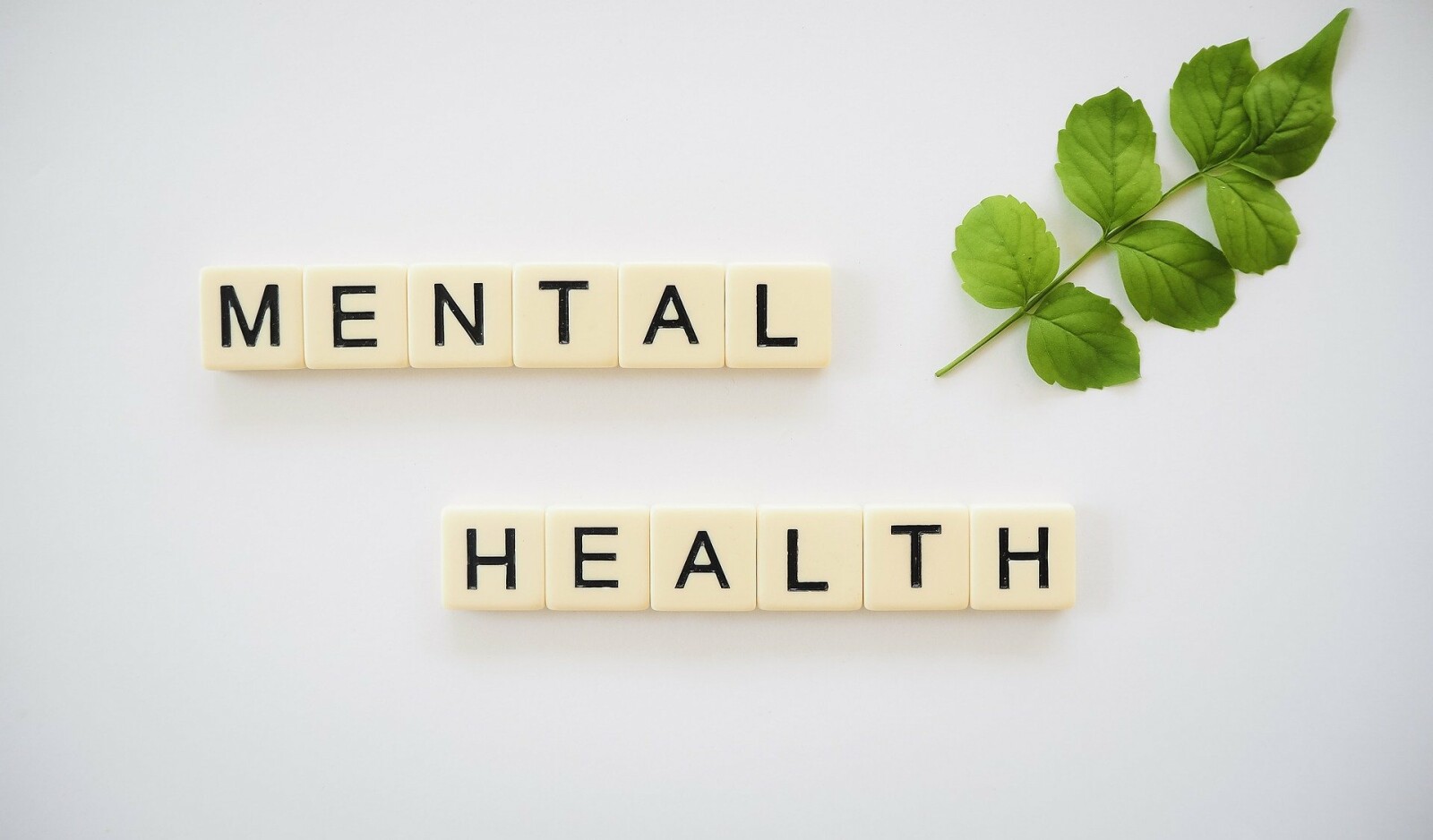 Mental Health Round Up