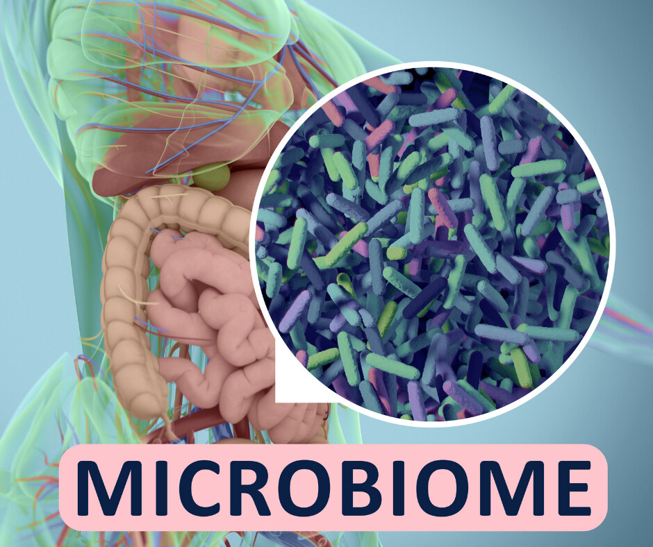 Can Your Microbiome Impact Your Hormones?