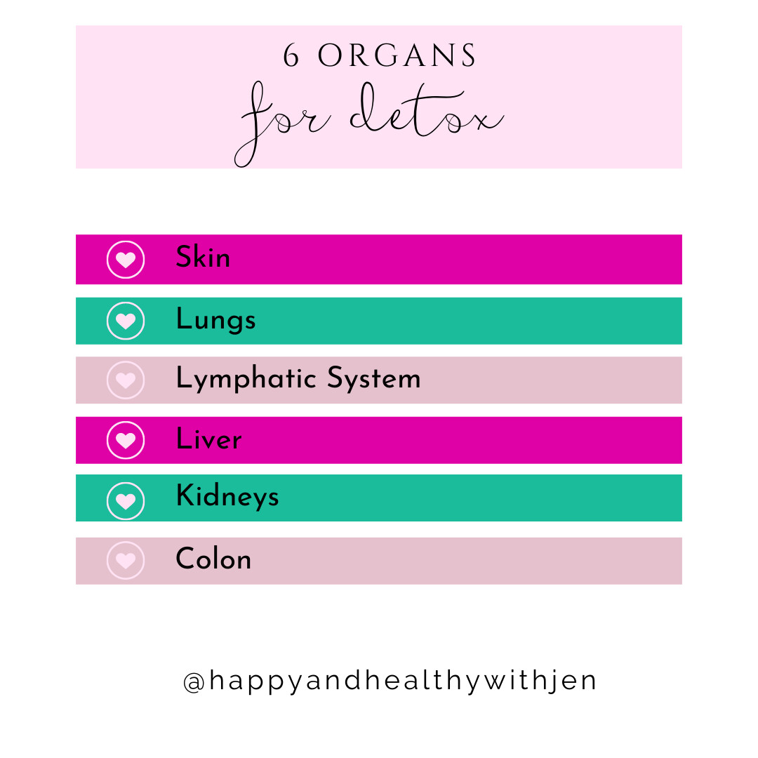 6 Organs for Detoxification